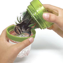 Carregar imatge al visor de la galeria, Bola de Neu Il·luminada de Dinosaures