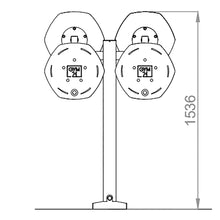Load image into Gallery viewer, Biosaludable Team Flyers