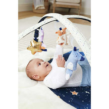 Load image into Gallery viewer, Sweet Dreams Activity Gym