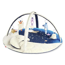 Load image into Gallery viewer, Sweet Dreams Activity Gym