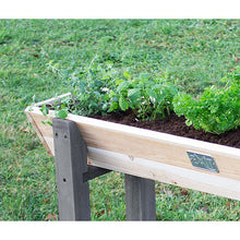 Cargar imagen en el visor de la galería, Mesa de cultivo Aksent M