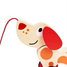 Carregar imatge al visor de la galeria, Gosset Pepe d'Arrossegament