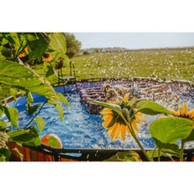 Load image into Gallery viewer, EXIT Black 427X122 pool with sand filter and ladder - black