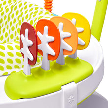 Load image into Gallery viewer, Baby Activity Jumper