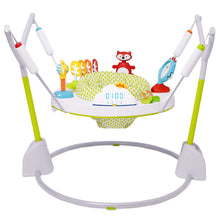 Load image into Gallery viewer, Baby Activity Jumper