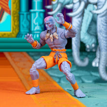 Cargar imagen en el visor de la galería, Figura de acción Dahlsim de Street Fighter II
