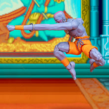 Cargar imagen en el visor de la galería, Figura de acción Dahlsim de Street Fighter II