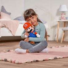 Load image into Gallery viewer, Super Mario Bros Plush Doll 30 cm