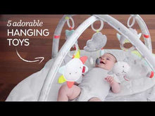 Carregar i reproduir el vídeo en el visor de la galeria, Gimnàs d'activitats per a nadons - Núvol