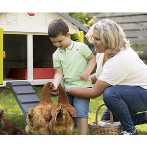 Cotcot Chicken Coop