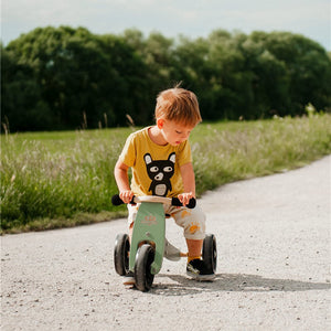 Tiny Tot 2-in-1 Wooden Balance Bike and Tricycle - Sage