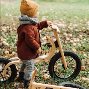 Bicicleta de equilibrio evolutiva Leg&Go