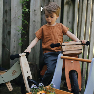 Bicicleta de equilibrio y triciclo de madera 2 en 1 Tiny Tot Plus - Salvia