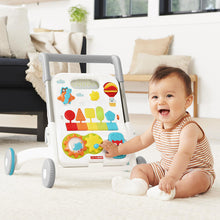 Load image into Gallery viewer, juguete para bebé caminador
