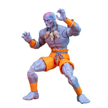 Cargar imagen en el visor de la galería, Figura de acción Dahlsim de Street Fighter II
