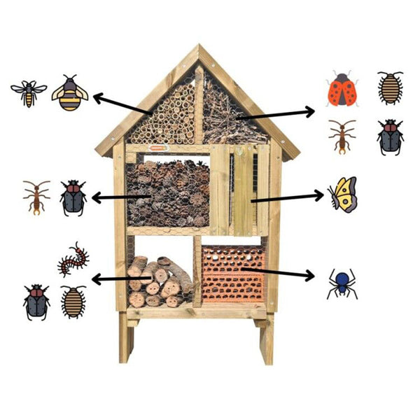 HOTEL d'insectes L 5 estrelles