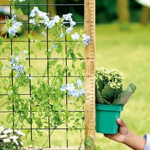 Carregar imatge al visor de la galeria, Taula de Jardineria Infantil Grow &amp; Play Hape
